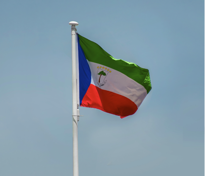 Constituya su Empresa en Guinea